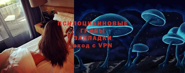 винт Арсеньев
