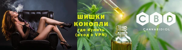 СК Покровск
