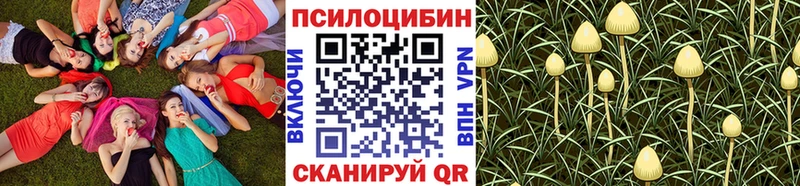 Галлюциногенные грибы MAGIC MUSHROOMS Суоярви